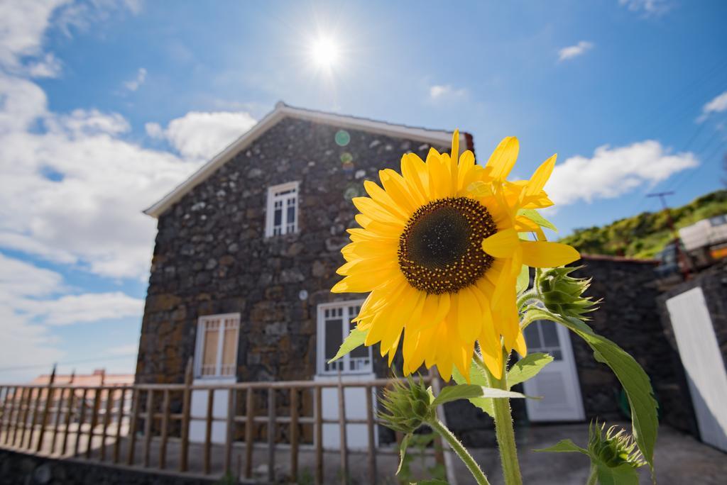 Villa Stone Dreams - Pedra da Atafona Calheta de Nesquim Esterno foto